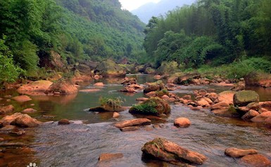 四川画稿溪国家级自然保护区