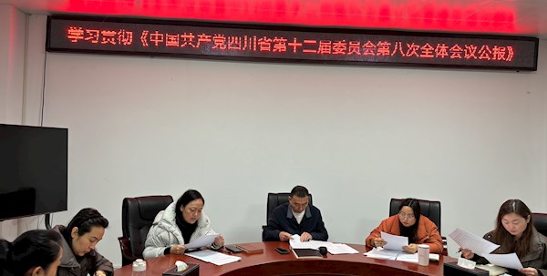 文旅集团党支部专题学习中共四川省委十二届八次全会精神